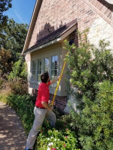 Pest Control Services by Myles Pest Services in Keller