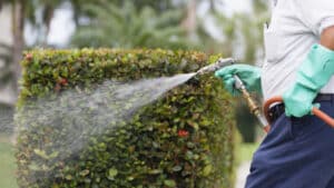 Pest Control Services by One Way Pest Control San Antonio in San Antonio