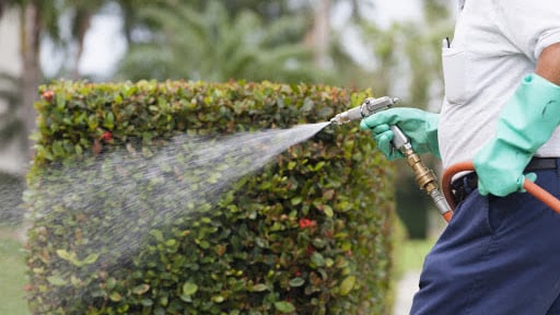 One Way Pest Control San Antonio, Pest Control company in San Antonio Pest Control Services by One Way Pest Control San Antonio in San Antonio, Texas