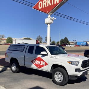 Pest Control Services by Orkin in El Paso