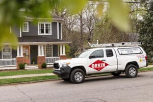 Pest Control Services by Orkin in Lufkin