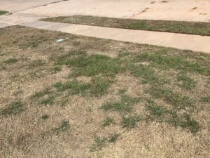 Pest Control Services by Perm-O-Green Wichita Falls in Wichita Falls