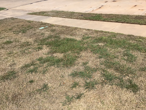 Pest Control Services by Perm-O-Green Wichita Falls in Wichita Falls