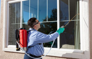 Pest Control Services by Pest Control Solutions in Carrollton