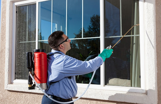 Pest Control Services by Pest Control Solutions in Carrollton, Texas