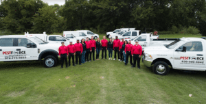 Pest Control Services by Pest Force in Tomball