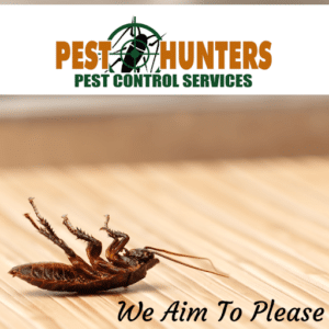 Pest Control Services by Pest Hunters Pest Control & Pond Mgmt in Santa Anna