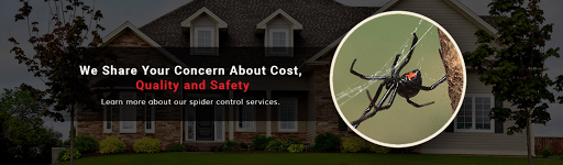 Pest Control Services by Pest Management Services in Lubbock, Texas