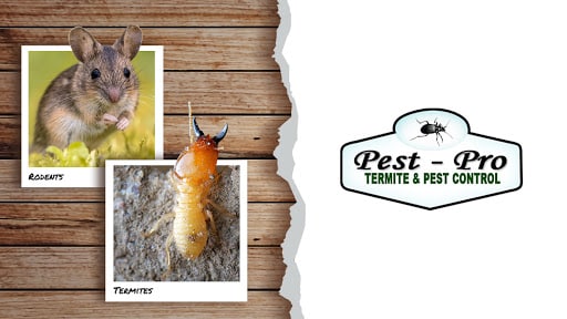 Pest Control Services by Pest-Pro Services, Inc. in Longview, Texas