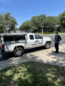 Pest Control Services by Pest Pro - The Pest Professionals in San Antonio