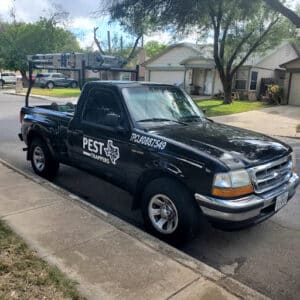 Pest Control Services by Pest Trappers in San Antonio