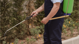 Pest Control Services by Pestkarma in Lake Jackson