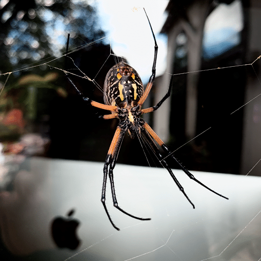 Pestpro Of San Antonio, Pest Control company in San Antonio Pest Control Services by Pestpro Of San Antonio in San Antonio, Texas