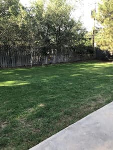 Pest Control Services by Pioneer Weed Control & Feed Store in Coahoma