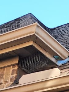 Pest Control Services by Preferred Pest Management - Pest Control