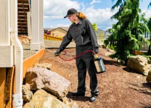 Pest Control Services by Presto-X Pest Control in San Antonio