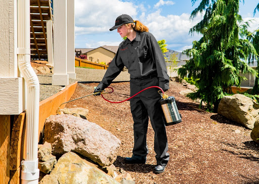 Pest Control Services by Presto-X Pest Control in San Antonio
