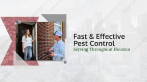 Pest Control Services by Preventive Pest Control in Houston