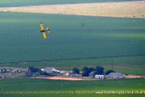 Pest Control Services by Pro Agri Spraying Services in Ropesville