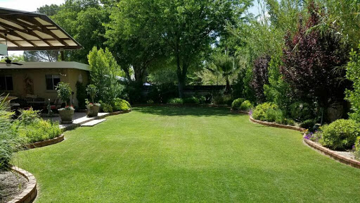 Pest Control Services by Pro-Tech Pest And Lawn Management in El Paso