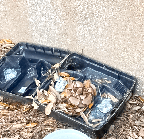 Pest Control Services by Proco Pest Control in Grapevine
