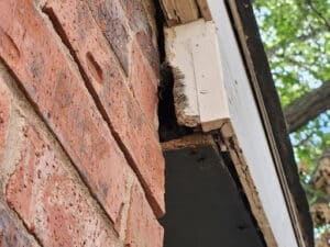 Pest Control Services by Provant Pest And Wildlife in Bynum