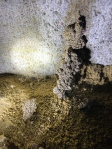 Pest Control Services by Quality Pest Control in Dayton
