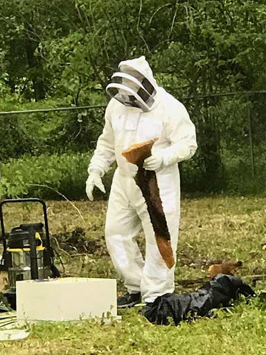 Pest Control Services by Queen B Apiaries in Huffman, Texas