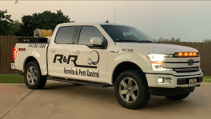 Pest Control Services by R&R Pest Control in Edinburg