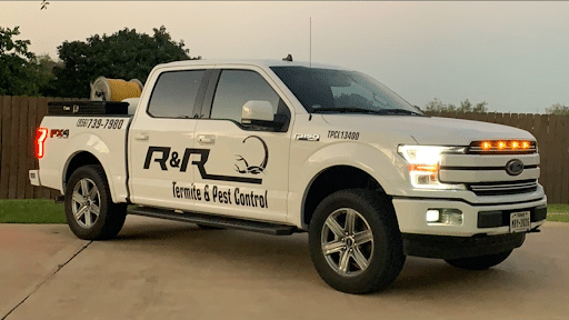 Pest Control Services by R&R Pest Control in Edinburg
