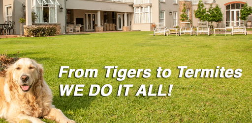 Pest Control Services by Results Environmental Pest Management in Sherman