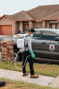 Pest Control Services by Rgv Got Bugs Pest Control Llc in Brownsville