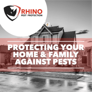 Pest Control Services by Rhino Pest Protection in Richmond
