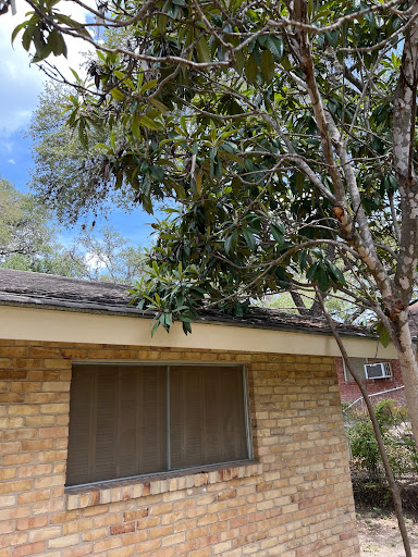 Rio Bravo Pest Control, Pest Control company in San Antonio Pest Control Services by Rio Bravo Pest Control in San Antonio, Texas