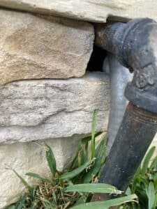 Pest Control Services by Rodent Prevention Services in Katy