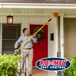Pest Control Services by Romney Pest Control in Tomball