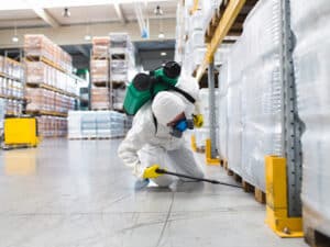 Pest Control Services by Rosenberg Pest & Termite Exterminators in Rosenberg