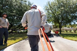 Pest Control Services by Ross Pest And Lawn in Aledo