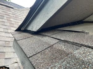 Pest Control Services by Rowdy Texan Services Llc in Spring