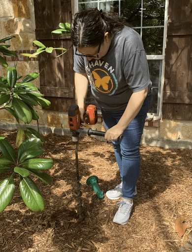 Pest Control Services by Safehaven Pest Control in Garland, Texas