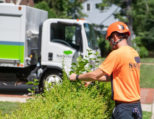 Pest Control Services by Savatree in Anna