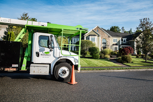 Pest Control Services by Savatree - Tree Service & Lawn Care in Dallas