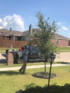 Pest Control Services by Simply Safe Pest Control in Aubrey