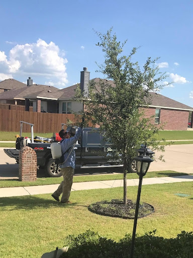 Pest Control Services by Simply Safe Pest Control in Aubrey