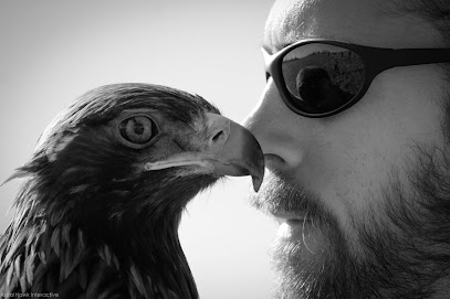Pest Control Services by Sky Predators Bird Abatement Service in Abilene