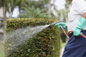 Pest Control Services by Solutions Pest & Lawn in Pearland