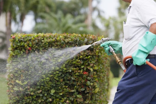 Pest Control Services by Solutions Pest & Lawn in Pearland