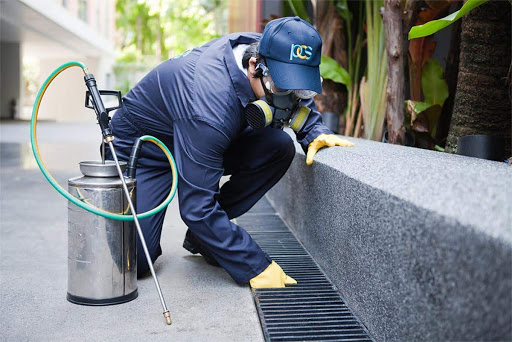 Pest Control Services by Southern Quality Organic Pest Control in Grand Prairie, Texas