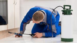 Pest Control Services by Stull Pest Control in Montgomery
