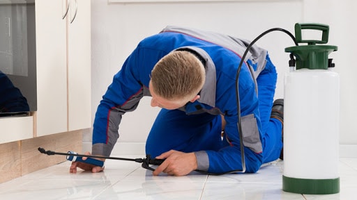 Pest Control Services by Stull Pest Control in Montgomery